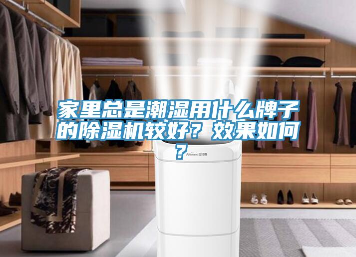 家里總是潮濕用什么牌子的除濕機較好？效果如何？