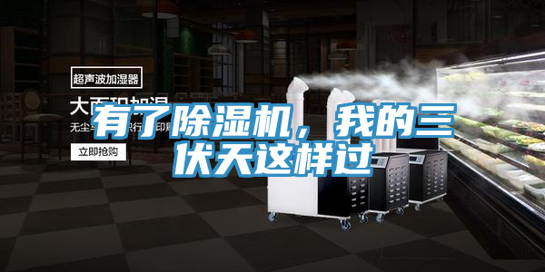 有了除濕機，我的三伏天這樣過