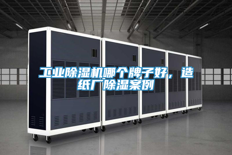 工業除濕機哪個牌子好，造紙廠除濕案例