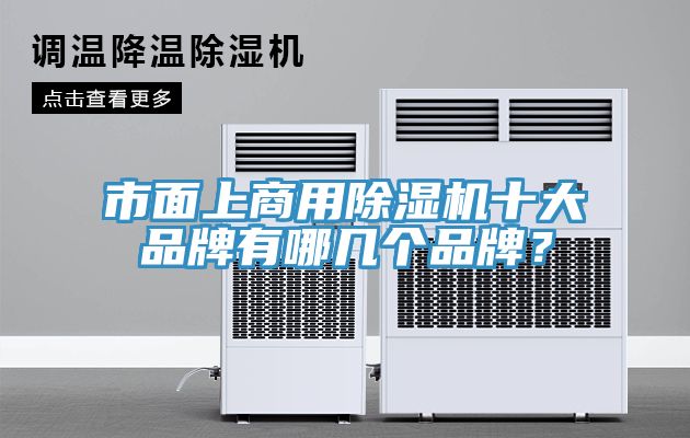 市面上商用除濕機(jī)十大品牌有哪幾個(gè)品牌？