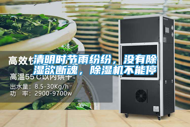 清明時(shí)節(jié)雨紛紛，沒(méi)有除濕欲斷魂，除濕機(jī)不能停