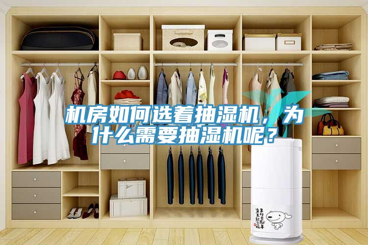 機(jī)房如何選著抽濕機(jī)，為什么需要抽濕機(jī)呢？