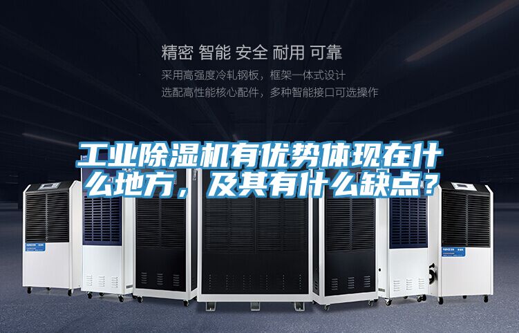 工業(yè)除濕機(jī)有優(yōu)勢(shì)體現(xiàn)在什么地方，及其有什么缺點(diǎn)？