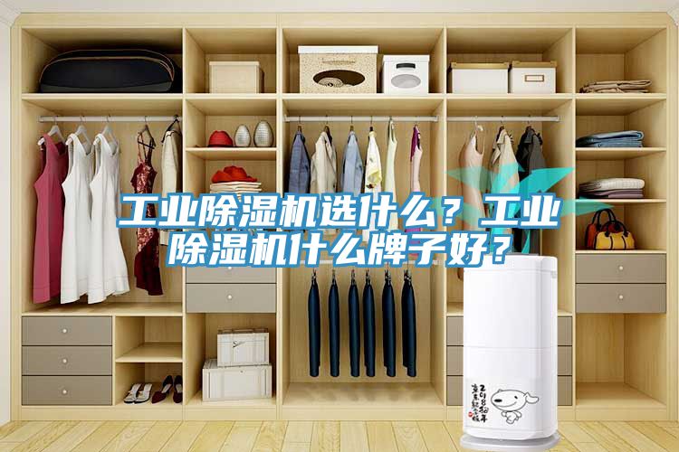 工業(yè)除濕機選什么？工業(yè)除濕機什么牌子好？