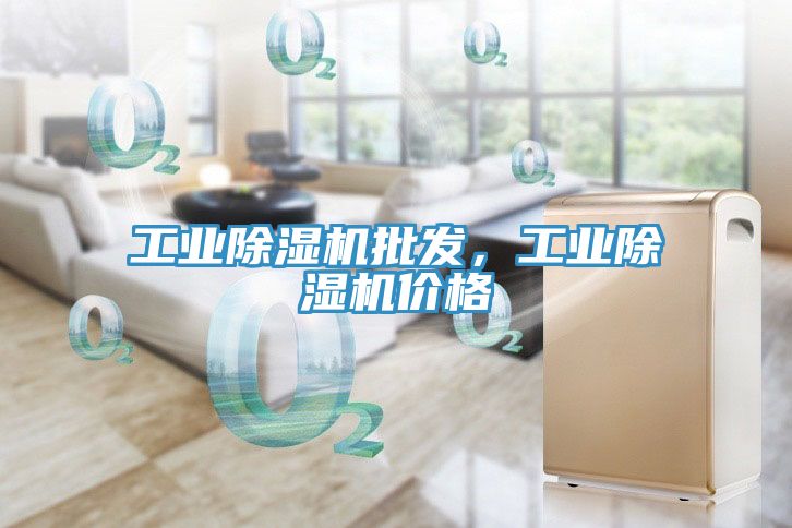 工業(yè)除濕機批發(fā)，工業(yè)除濕機價格
