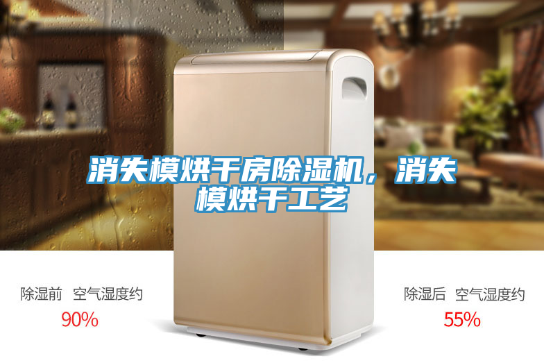 消失模烘干房除濕機，消失模烘干工藝