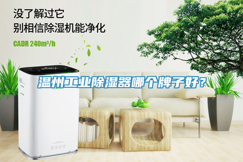 溫州工業(yè)除濕器哪個(gè)牌子好？