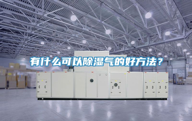 有什么可以除濕氣的好方法？