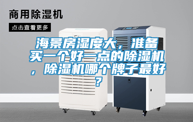 海景房濕度大，準備買一個好一點的除濕機，除濕機哪個牌子最好？