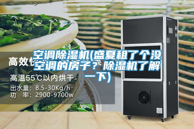 空調除濕機(盛夏租了個沒空調的房子？除濕機了解一下)