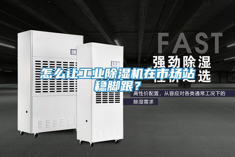 怎么讓工業除濕機在市場站穩腳跟？