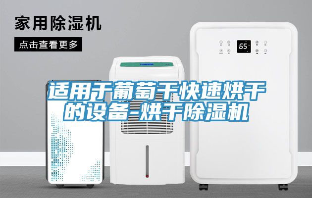 適用于葡萄干快速烘干的設備-烘干除濕機