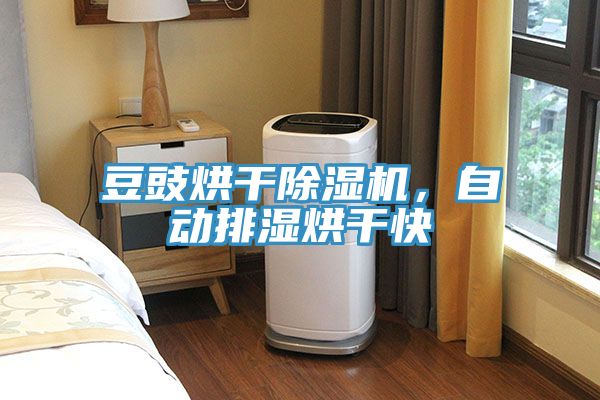 豆豉烘干除濕機，自動排濕烘干快