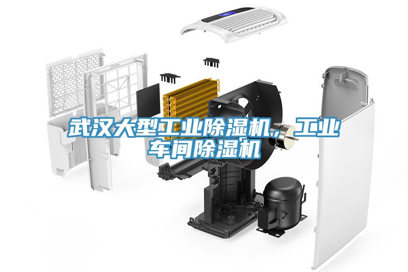 武漢大型工業(yè)除濕機(jī)，工業(yè)車間除濕機(jī)