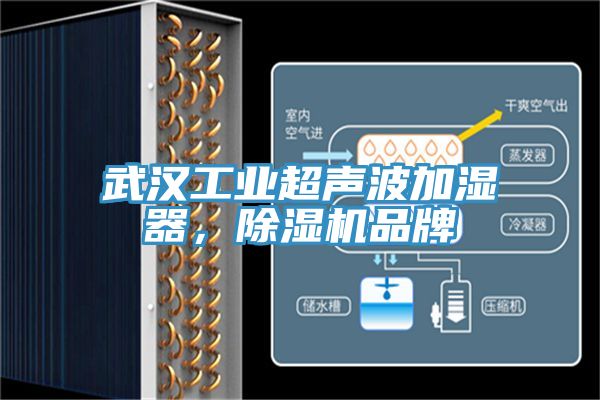武漢工業超聲波加濕器，除濕機品牌