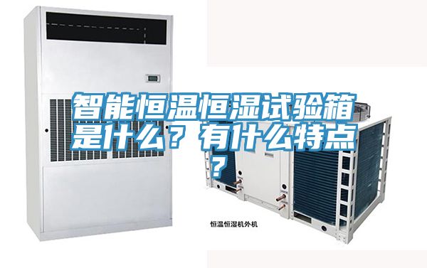 智能恒溫恒濕試驗箱是什么？有什么特點？