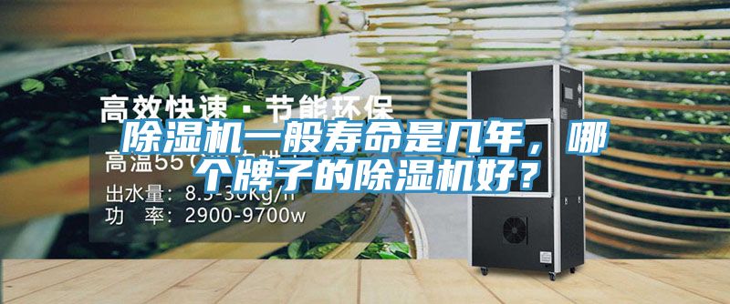 除濕機一般壽命是幾年，哪個牌子的除濕機好？