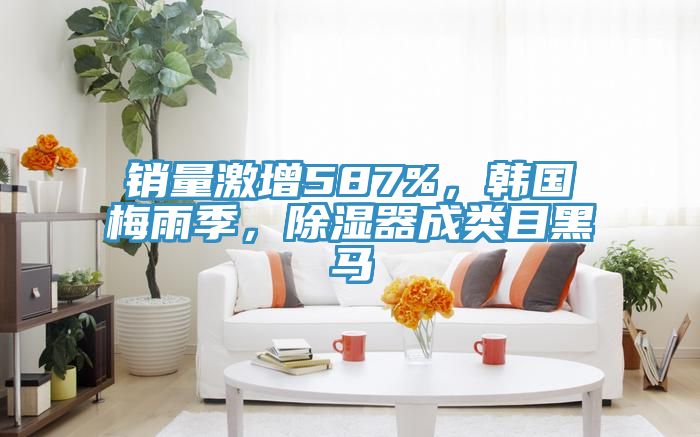 銷量激增587%，韓國梅雨季，除濕器成類目黑馬