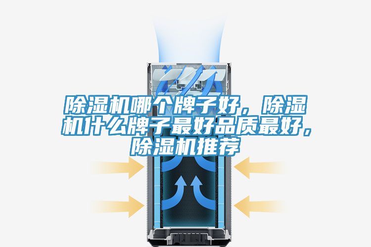 除濕機哪個牌子好，除濕機什么牌子最好品質最好，除濕機推薦