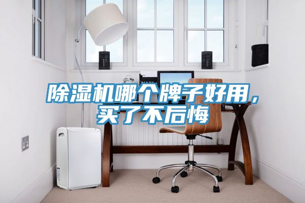 除濕機哪個牌子好用，買了不后悔