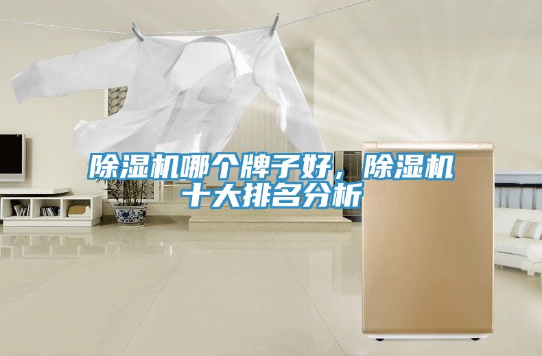 除濕機哪個牌子好，除濕機十大排名分析