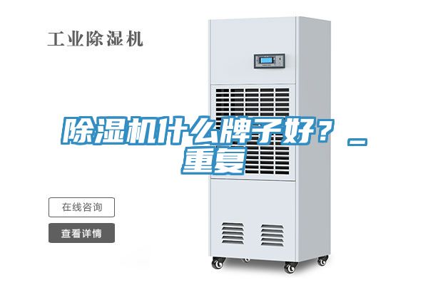 除濕機什么牌子好？_重復