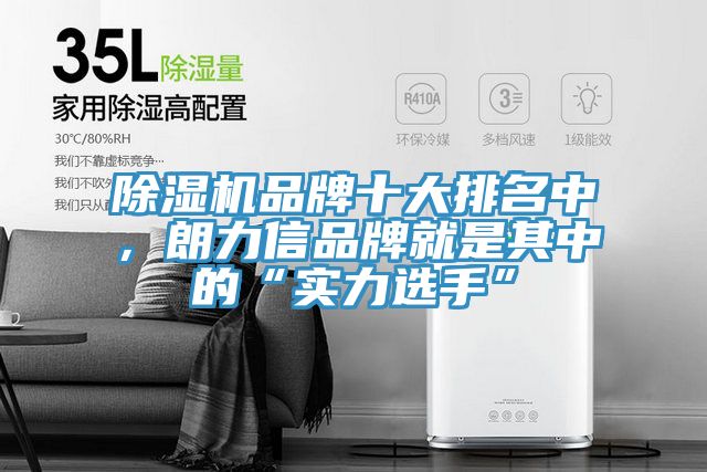 除濕機品牌十大排名中，朗力信品牌就是其中的“實力選手”