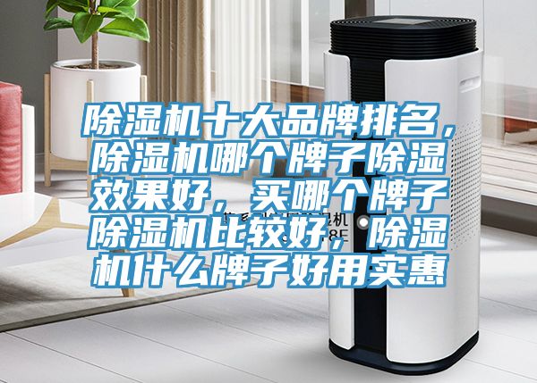除濕機十大品牌排名，除濕機哪個牌子除濕效果好，買哪個牌子除濕機比較好，除濕機什么牌子好用實惠