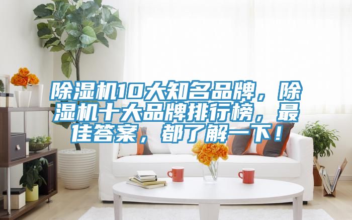 除濕機10大知名品牌，除濕機十大品牌排行榜，最佳答案，都了解一下！
