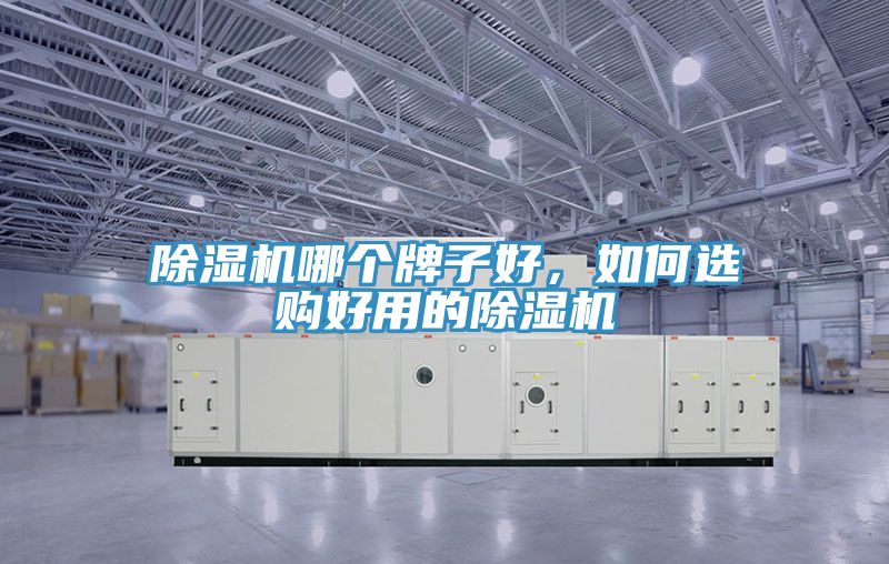 除濕機哪個牌子好，如何選購好用的除濕機