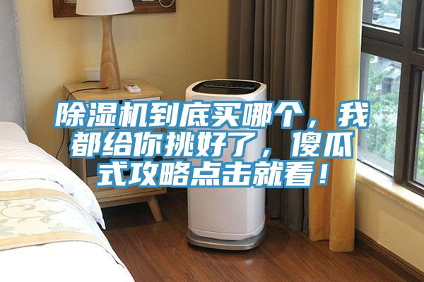 除濕機到底買哪個，我都給你挑好了，傻瓜式攻略點擊就看！