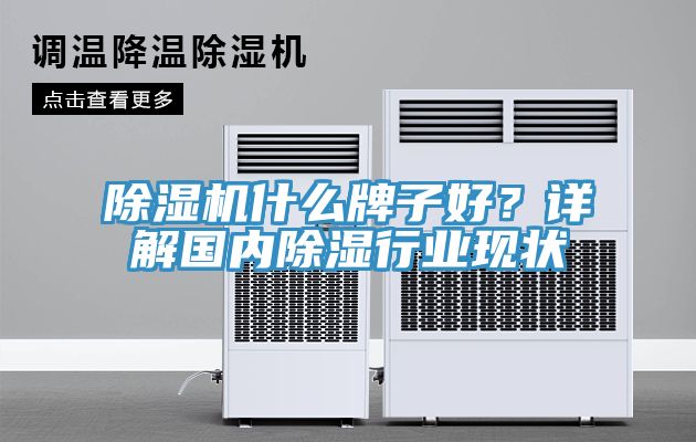 除濕機什么牌子好？詳解國內除濕行業現狀