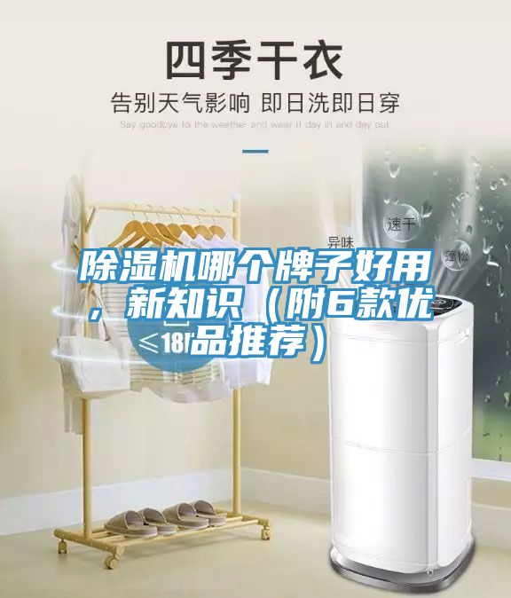 除濕機哪個牌子好用，新知識（附6款優品推薦）