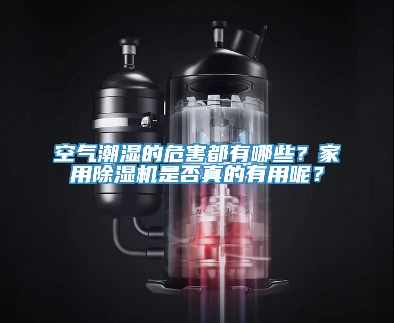 空氣潮濕的危害都有哪些？家用除濕機是否真的有用呢？