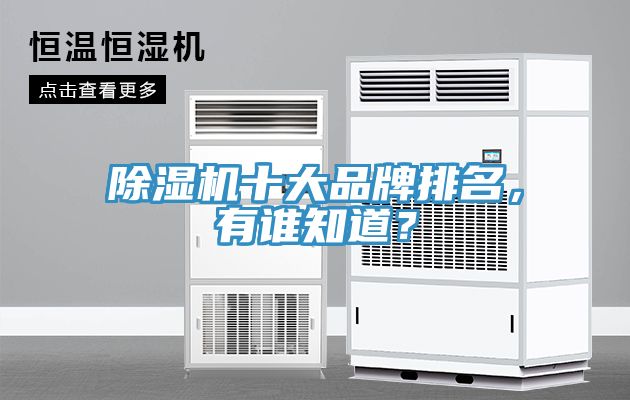 除濕機十大品牌排名，有誰知道？
