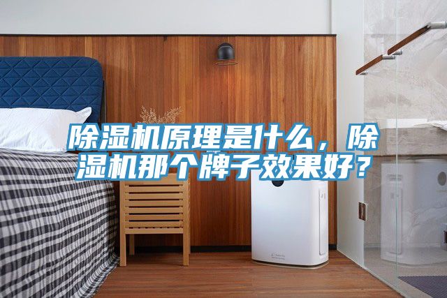 除濕機原理是什么，除濕機那個牌子效果好？