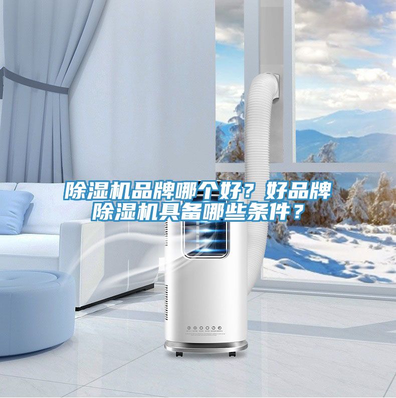 除濕機品牌哪個好？好品牌除濕機具備哪些條件？