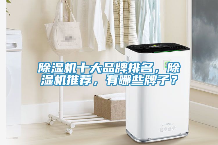 除濕機十大品牌排名，除濕機推薦，有哪些牌子？