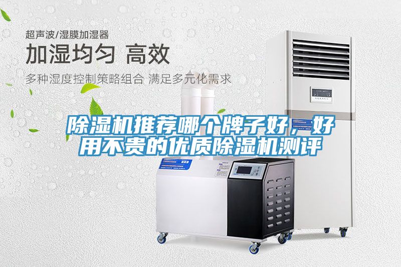 除濕機推薦哪個牌子好，好用不貴的優質除濕機測評