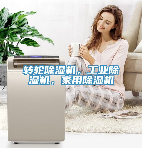 轉輪除濕機，工業(yè)除濕機，家用除濕機
