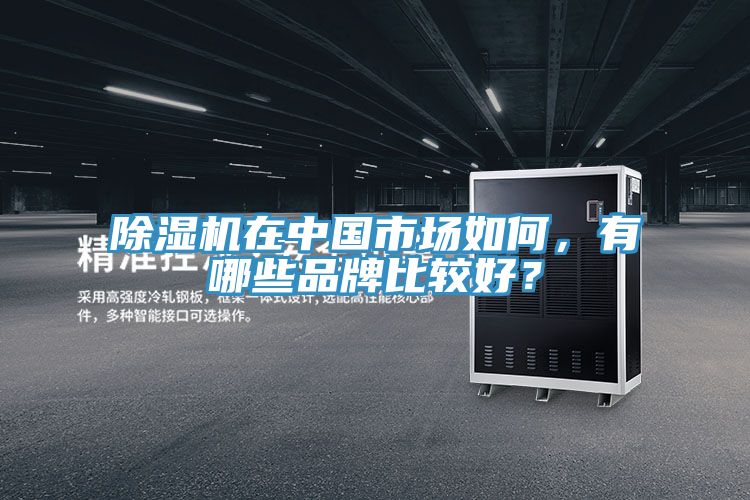 除濕機在中國市場如何，有哪些品牌比較好？
