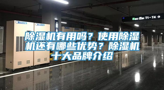 除濕機(jī)有用嗎？使用除濕機(jī)還有哪些優(yōu)勢(shì)？除濕機(jī)十大品牌介紹