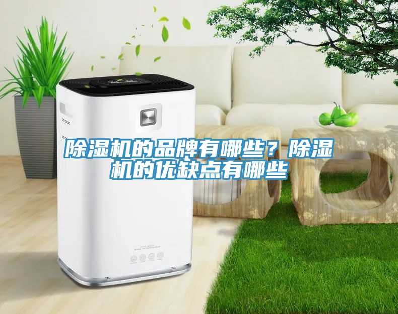 除濕機(jī)的品牌有哪些？除濕機(jī)的優(yōu)缺點(diǎn)有哪些