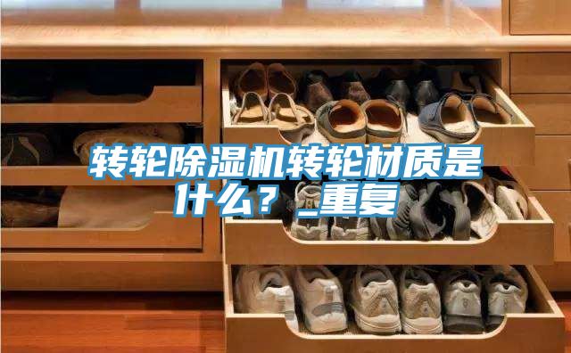 轉輪除濕機轉輪材質是什么？_重復