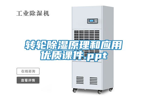 轉輪除濕原理和應用優(yōu)質(zhì)課件.ppt