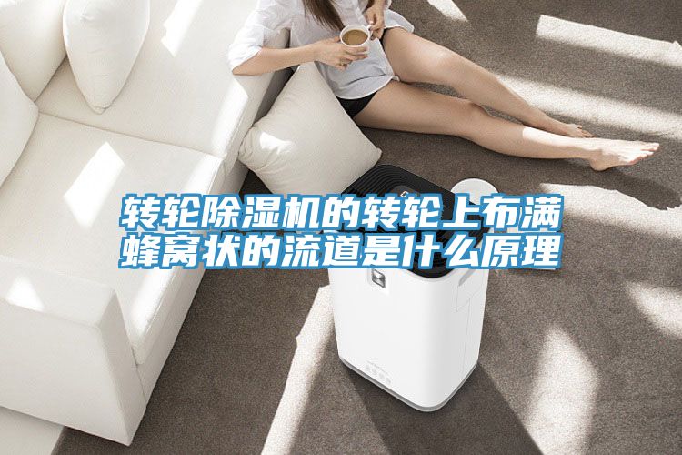 轉輪除濕機的轉輪上布滿蜂窩狀的流道是什么原理