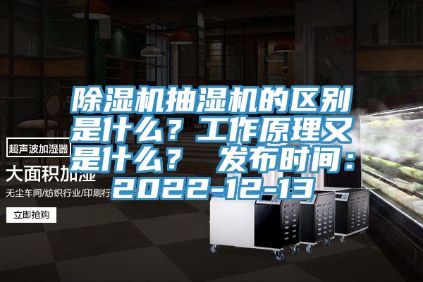 除濕機抽濕機的區別是什么？工作原理又是什么？ 發布時間：2022-12-13
