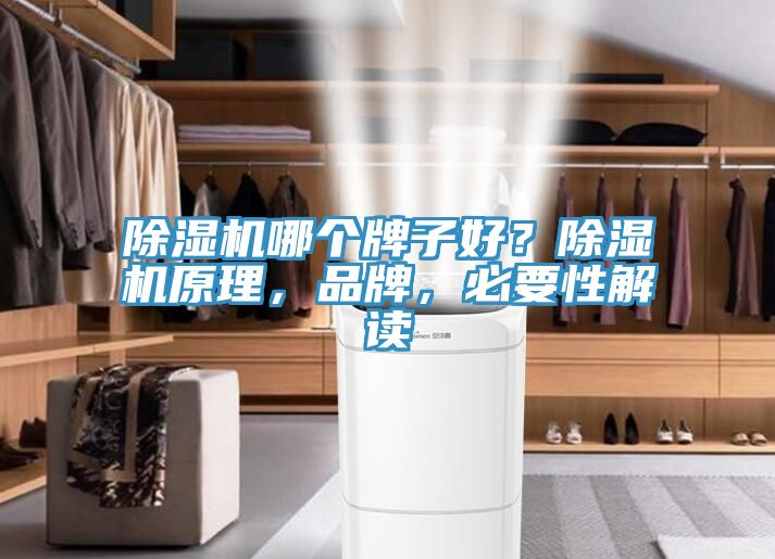 除濕機(jī)哪個(gè)牌子好？除濕機(jī)原理，品牌，必要性解讀