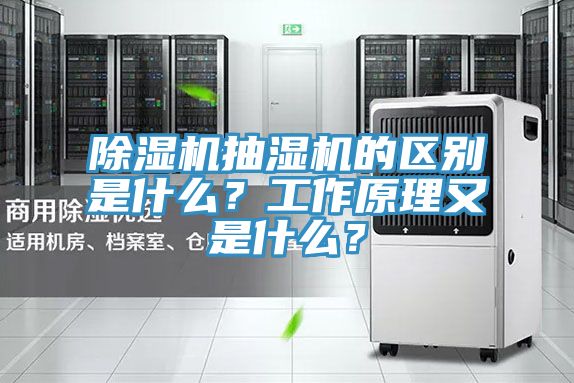 除濕機抽濕機的區別是什么？工作原理又是什么？