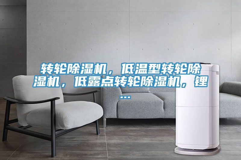 轉輪除濕機，低溫型轉輪除濕機，低露點轉輪除濕機，鋰 ...